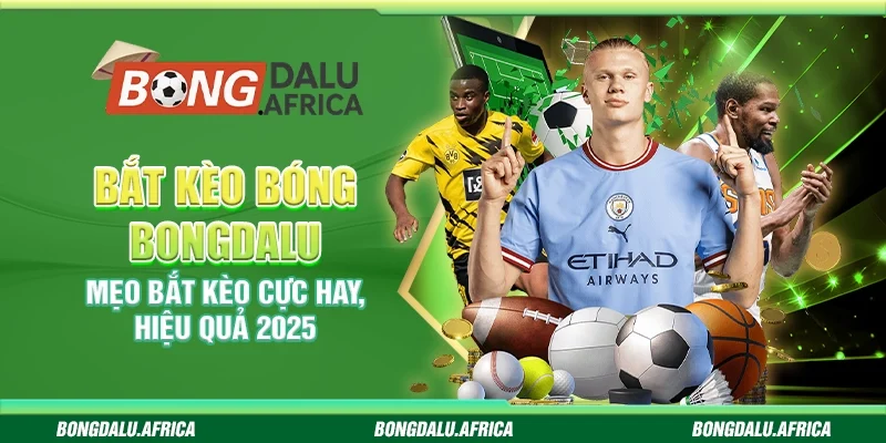 Bắt kèo Bóng Bongdalu - Mẹo bắt kèo cực hay, hiệu quả 2025