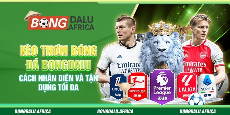 Kèo Thơm Bóng Đá Bongdalu - Cách Nhận Diện Và Tận Dụng Tối Đa