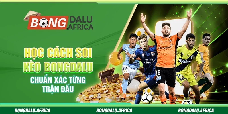 Học Cách Soi Kèo Bongdalu - Chuẩn Xác Từng Trận Đấu