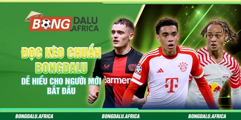 Đọc Kèo Chuẩn Bongdalu - Dễ Hiểu Cho Người Mới Bắt Đầu