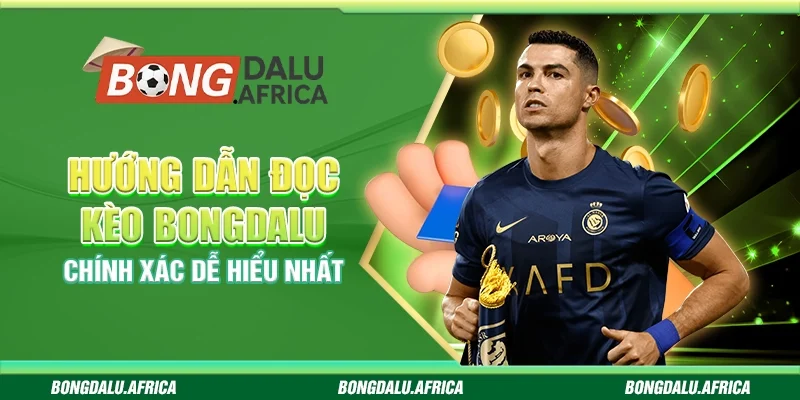 Hướng Dẫn Đọc Kèo Bongdalu - Chính Xác Dễ Hiểu Nhất