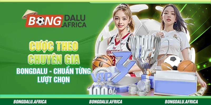 Cược Theo Chuyên Gia Bongdalu - Chuẩn Từng Lượt Chọn