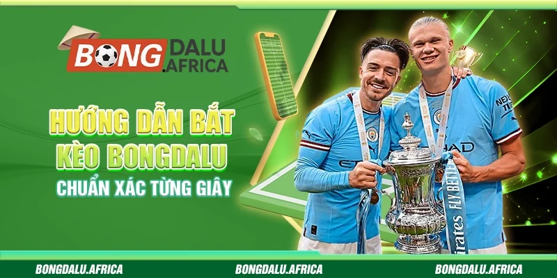 Hướng Dẫn Bắt Kèo Bongdalu - Chuẩn Xác Từng Giây