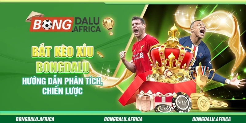 Bắt Kèo Xỉu Bongdalu - Hướng Dẫn Phân Tích, Chiến Lược