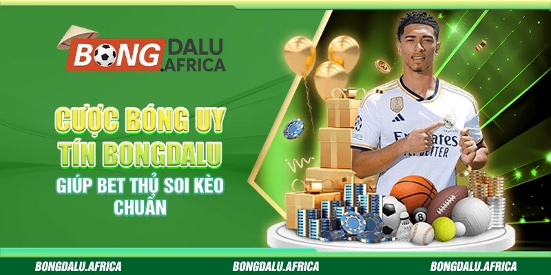 Cược Bóng Uy Tín Bongdalu - Giúp Bet Thủ Soi Kèo Chuẩn