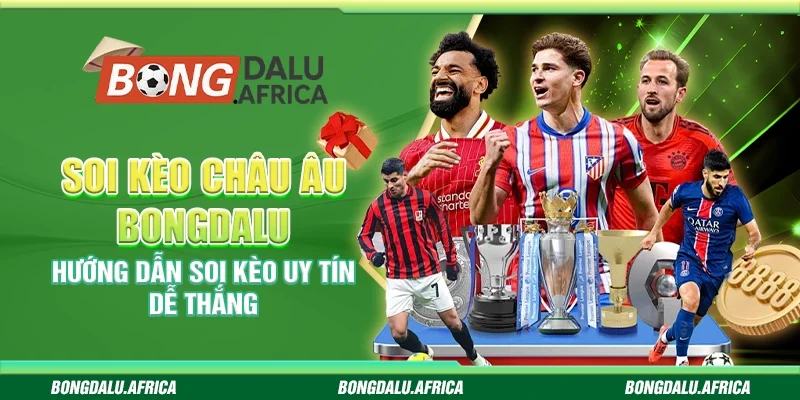 Soi Kèo Châu Âu Bongdalu - Hướng Dẫn Soi Kèo Uy Tín Dễ Thắng