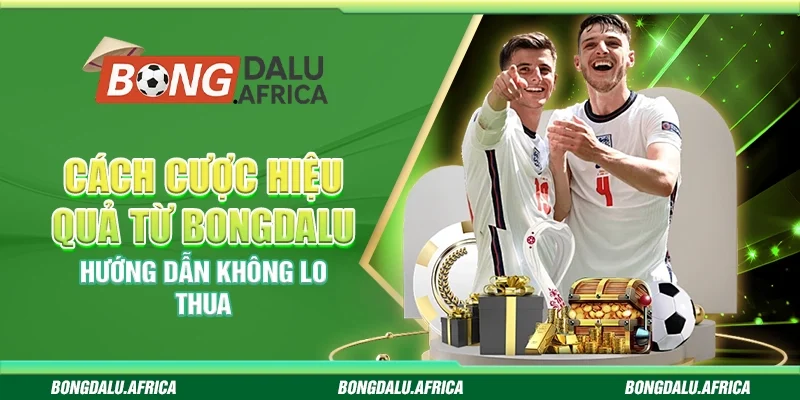 Cách Cược Hiệu Quả Từ Bongdalu - Hướng Dẫn Không Lo Thua
