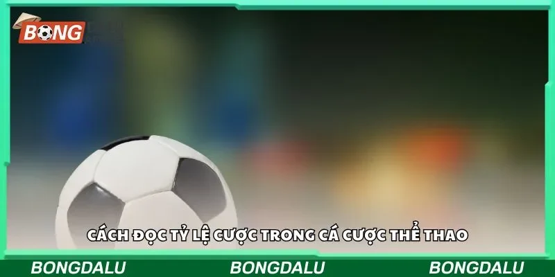 Cách đọc tỷ lệ cược trong cá cược thể thao