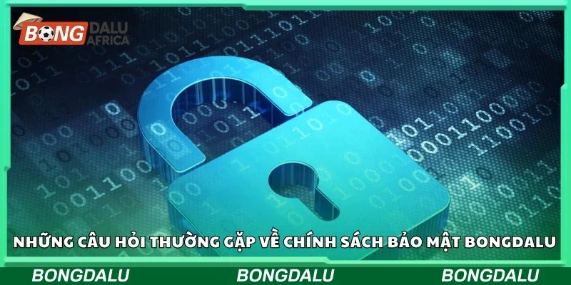 Câu hỏi thường gặp về chính sách bảo mật Bongdalu