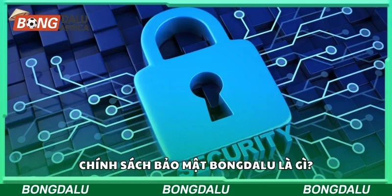 Chính sách bảo mật Bongdalu là gì?