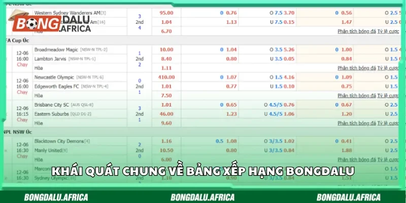 Khái quát chung về bảng xếp hạng Bongdalu