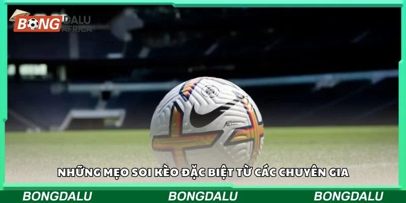 Những mẹo soi kèo đặc biệt từ các chuyên gia