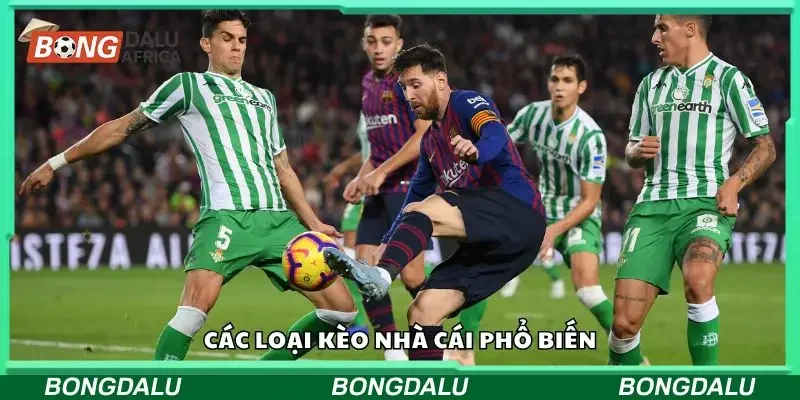 Tổng hợp một số loại kèo phổ biến nhất hiện nay