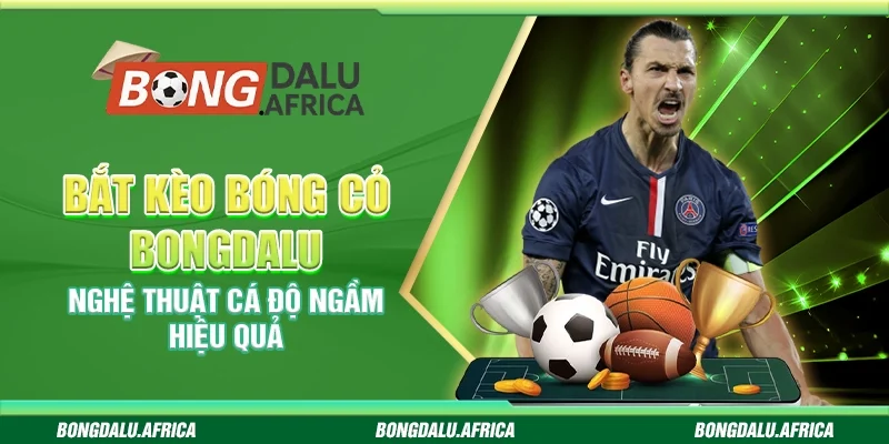 Bắt Kèo Bóng Cỏ Bongdalu – Nghệ Thuật Cá Độ Ngầm Hiệu Quả