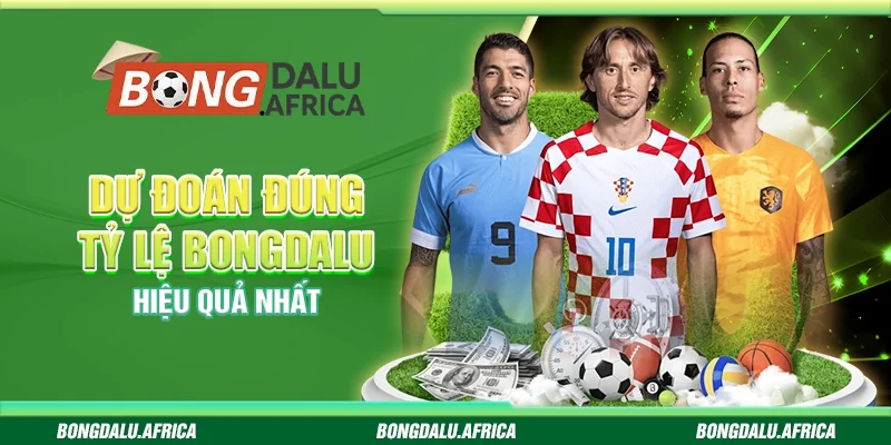 Dự Đoán Đúng Tỷ Lệ Bongdalu - Hiệu Quả Nhất