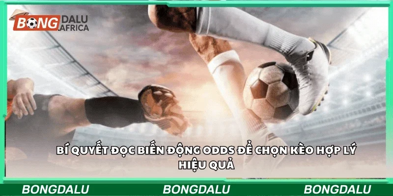 Bí quyết đọc biến động odds để chọn kèo hợp lý hiệu quả