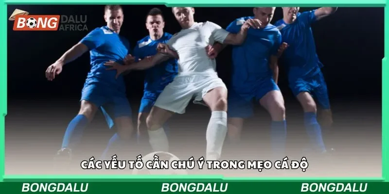 Các yếu tố cần chú ý trong mẹo cá độ