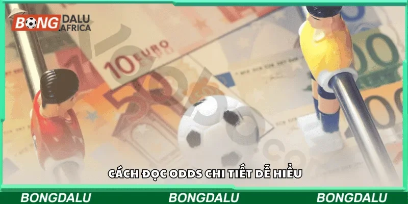 Cách đọc odds chi tiết dễ hiểu