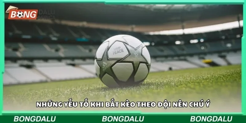 Những yếu tố khi bắt kèo theo đội nên chú ý