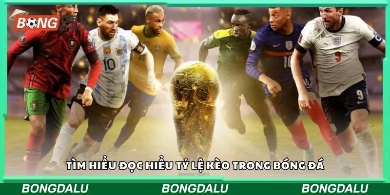 Tìm hiểu đọc hiểu tỷ lệ kèo trong bóng đá