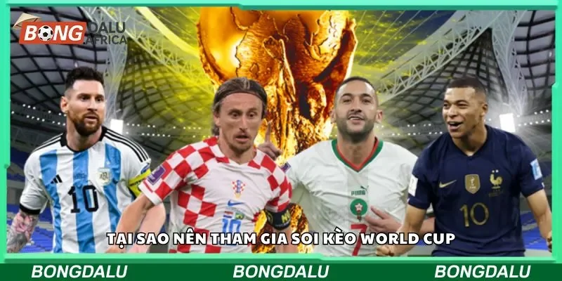Tại sao nên tham gia soi kèo World Cup