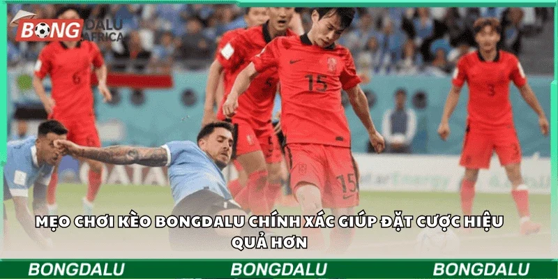 Mẹo chơi kèo Bongdalu chính xác giúp đặt cược hiệu quả hơn