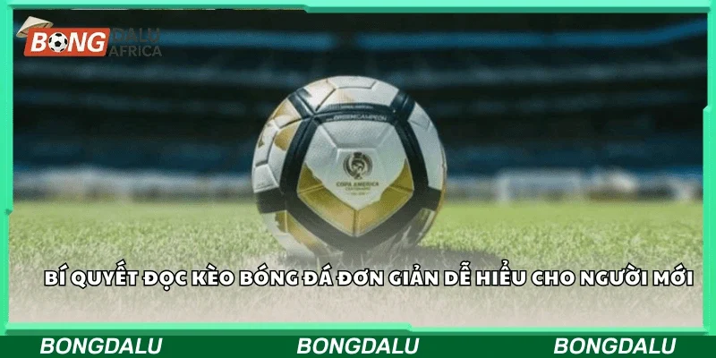 Bí quyết đọc kèo bóng đá đơn giản dễ hiểu cho người mới