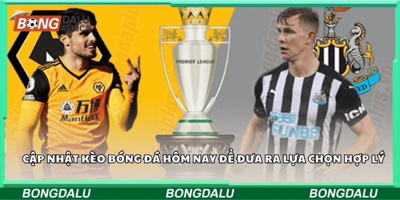 Cập nhật kèo bóng đá hôm nay để đưa ra lựa chọn hợp lý