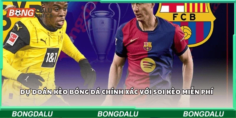 Dự đoán kèo bóng đá chính xác với soi kèo miễn phí