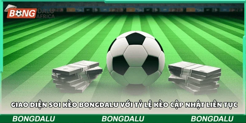 Giao diện soi kèo Bongdalu với tỷ lệ kèo cập nhật liên tục